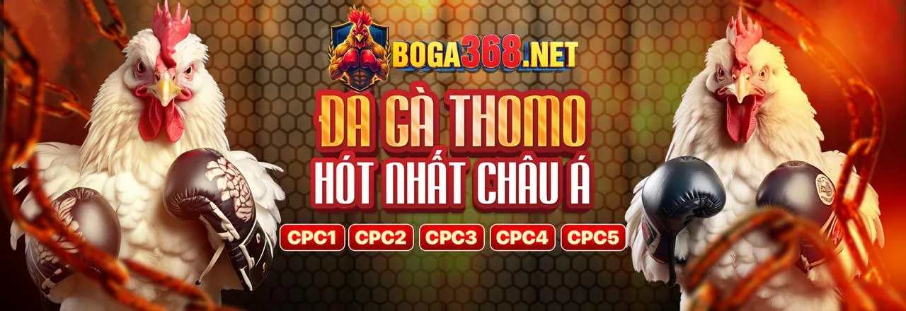 Giấy phép và Quy định