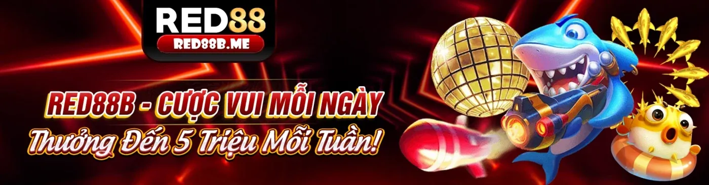 Đội ngũ chuyên gia viva8