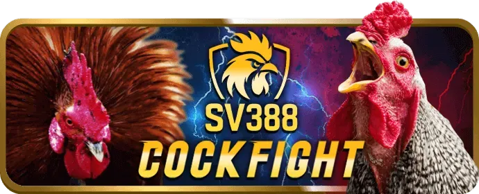 Quản lý tài khoản cá nhân VIP Viva8